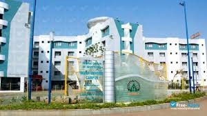 unversity image